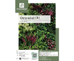 フェイクグリーン モアリーフ orientalB 4枚セット　ML-O-B