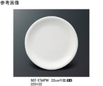 22cm 平皿 パルホワイト 10個入　MT-176PW