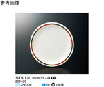 20cm ライス皿 ノア 80個入　MTN-171
