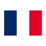 ビッグフラッグ小 国旗 フランス 小（販促用）　54444