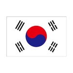 ビッグフラッグ小 国旗 韓国 小（販促用）　54450
