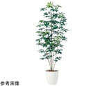 シュフレラ 人工樹木 フェイクグリーン 人工観葉植物 高さ150cm　61-798-96-1