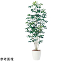 シュフレラ 人工樹木 フェイクグリーン 人工観葉植物 高さ180cm　61-798-96-2