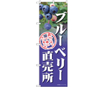 のぼり ブルーベリー直売所　54995
