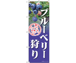 のぼり ブルーベリー狩り　54996
