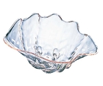 シャコ貝 クリア L プラスチック　2008000