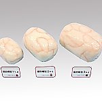 取扱を終了した商品です］8-3742-03 脂肪模型 (3kg) KF-1606 【AXEL